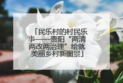 民乐村的村民乐事——贵阳“两清两改两治理”绘就美丽乡村新图景