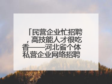 民营企业忙招聘，高技能人才很吃香——河北省个体私营企业网络招聘大会扫描