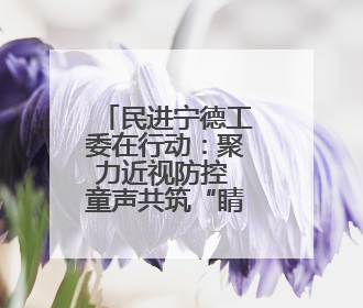 民进宁德工委在行动：聚力近视防控 童声共筑“睛”彩未来