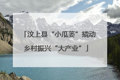 汶上县“小瓜蒌”撬动乡村振兴“大产业”