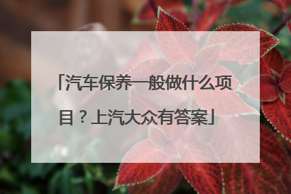 汽车保养一般做什么项目？上汽大众有答案