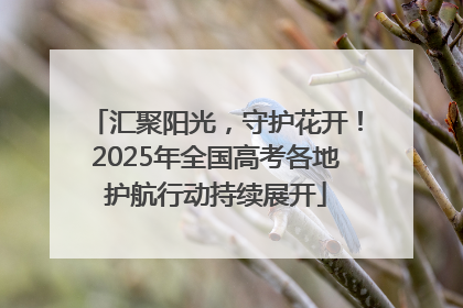 汇聚阳光，守护花开！2025年全国高考各地护航行动持续展开