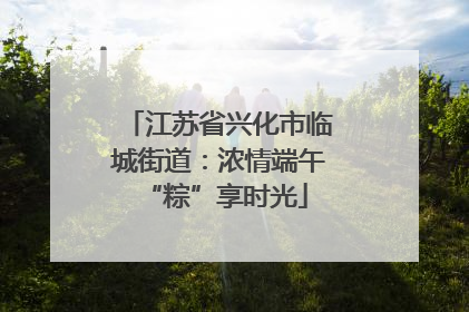 江苏省兴化市临城街道：浓情端午 “粽”享时光