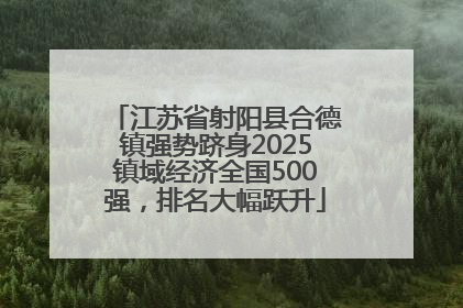江苏省射阳县合德镇强势跻身2025镇域经济全国500强，排名大幅跃升
