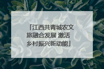 江西共青城农文旅融合发展 激活乡村振兴新动能