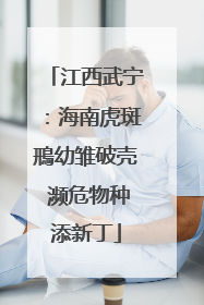 江西武宁：海南虎斑鳽幼雏破壳 濒危物种添新丁