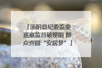 汤阴县纪委监委：巡察监督破梗阻 群众喜圆“安居梦”