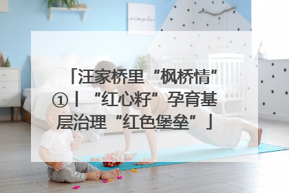 汪家桥里“枫桥情”①丨“红心籽”孕育基层治理“红色堡垒”