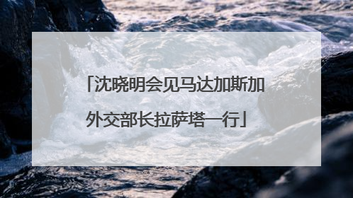 沈晓明会见马达加斯加外交部长拉萨塔一行