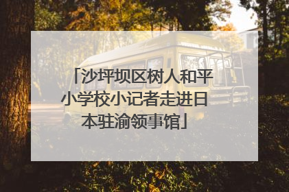 沙坪坝区树人和平小学校小记者走进日本驻渝领事馆