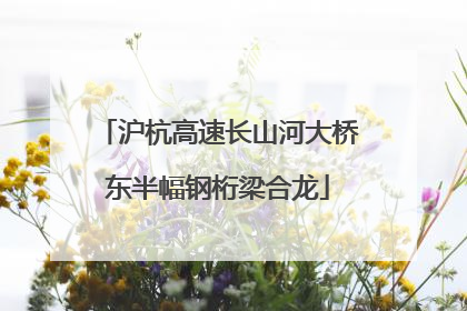 沪杭高速长山河大桥东半幅钢桁梁合龙