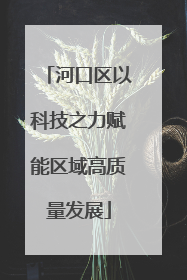 河口区以科技之力赋能区域高质量发展
