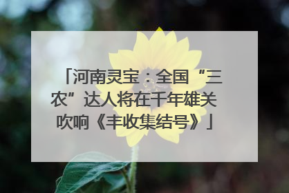 河南灵宝：全国“三农”达人将在千年雄关吹响《丰收集结号》