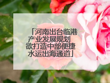 河南出台临港产业发展规划 欲打造中部便捷水运出海通道