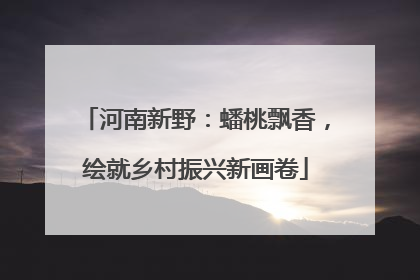 河南新野：蟠桃飘香，绘就乡村振兴新画卷
