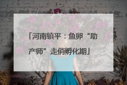 河南镇平：鱼卵“助产师”走俏孵化期