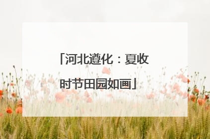河北遵化：夏收时节田园如画