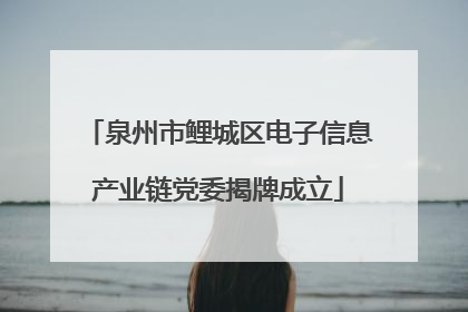 泉州市鲤城区电子信息产业链党委揭牌成立