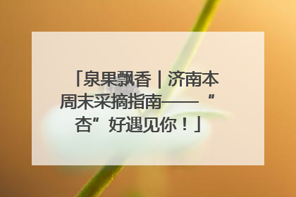 泉果飘香｜济南本周末采摘指南——“杏”好遇见你！