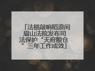 法槌敲响稻浪间 眉山法院发布司法保护“天府粮仓”三年工作成效
