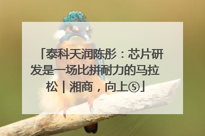 泰科天润陈彤：芯片研发是一场比拼耐力的马拉松｜湘商，向上⑤