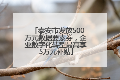 泰安市发放500万元数据要素券，企业数字化转型最高享5万元补贴