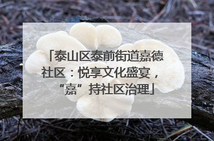 泰山区泰前街道嘉德社区：悦享文化盛宴，“嘉”持社区治理