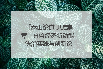 泰山论道 共启新章｜齐鲁经济新动能 法治实践与创新论坛成功举办