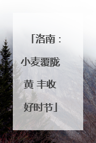 洛南：小麦覆陇黄 丰收好时节