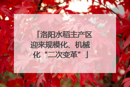 洛阳水稻主产区迎来规模化、机械化“二次变革”