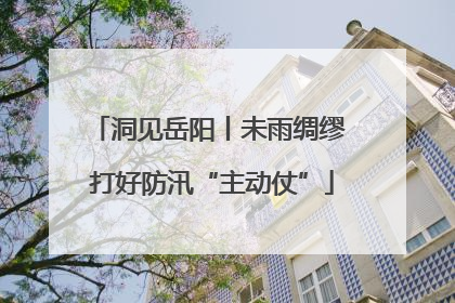 洞见岳阳丨未雨绸缪 打好防汛“主动仗”