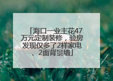 海口一业主花47万元定制装修，验房发现仅多了2样家电、2面背景墙