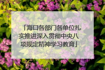海口各部门各单位扎实推进深入贯彻中央八项规定精神学习教育