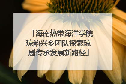 海南热带海洋学院琼韵兴乡团队探索琼剧传承发展新路径
