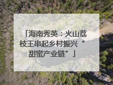 海南秀英：火山荔枝王串起乡村振兴“甜蜜产业链”