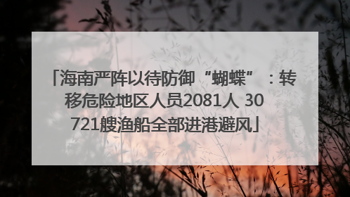 海南严阵以待防御“蝴蝶”：转移危险地区人员2081人 30721艘渔船全部进港避风