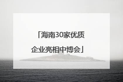 海南30家优质企业亮相中博会