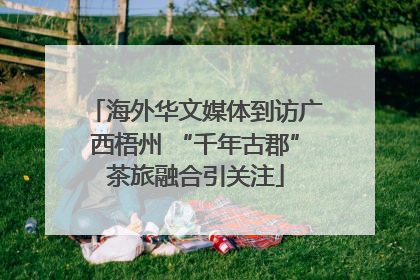 海外华文媒体到访广西梧州 “千年古郡”茶旅融合引关注