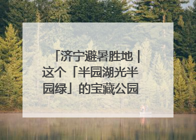 济宁避暑胜地｜这个「半园湖光半园绿」的宝藏公园藏不住了！