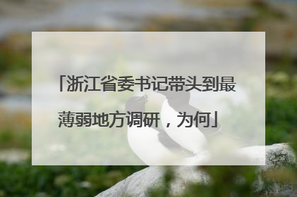 浙江省委书记带头到最薄弱地方调研，为何