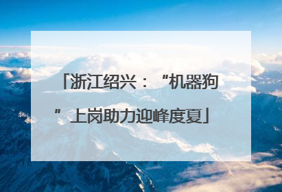 浙江绍兴：“机器狗”上岗助力迎峰度夏