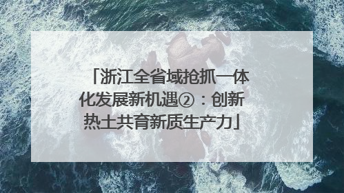 浙江全省域抢抓一体化发展新机遇②：创新热土共育新质生产力