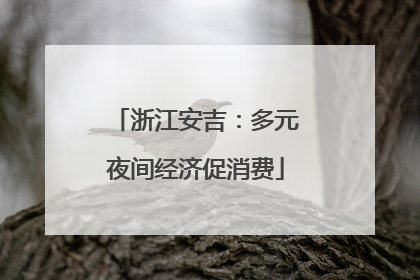 浙江安吉：多元夜间经济促消费