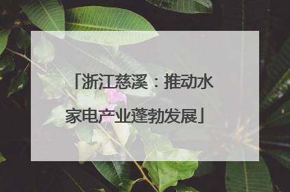 浙江慈溪：推动水家电产业蓬勃发展