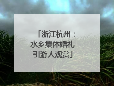 浙江杭州：水乡集体婚礼引游人观赏