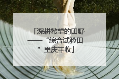 深耕希望的田野——“综合试验田”里庆丰收