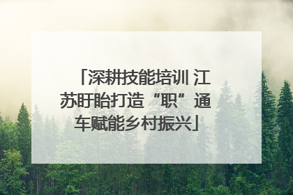 深耕技能培训 江苏盱眙打造“职”通车赋能乡村振兴