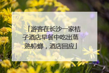 游客在长沙一家桔子酒店早餐中吃出蒸熟蟑螂，酒店回应