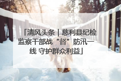 清风头条｜慈利县纪检监察干部战“督”防汛一线 守护群众利益