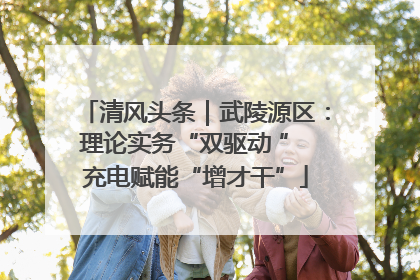 清风头条｜武陵源区：理论实务“双驱动 ” 充电赋能“增才干”